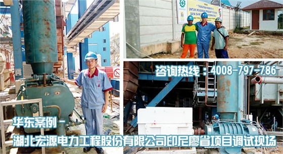 宏源電力印尼廖省項目HDGR450羅茨風(fēng)機安裝調(diào)試現(xiàn)場