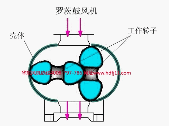 二葉羅茨風(fēng)機(jī).gif