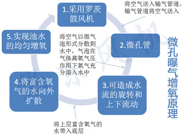 水產(chǎn)養(yǎng)殖羅茨風機原理